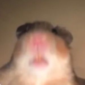 Meet your Posher, Angie